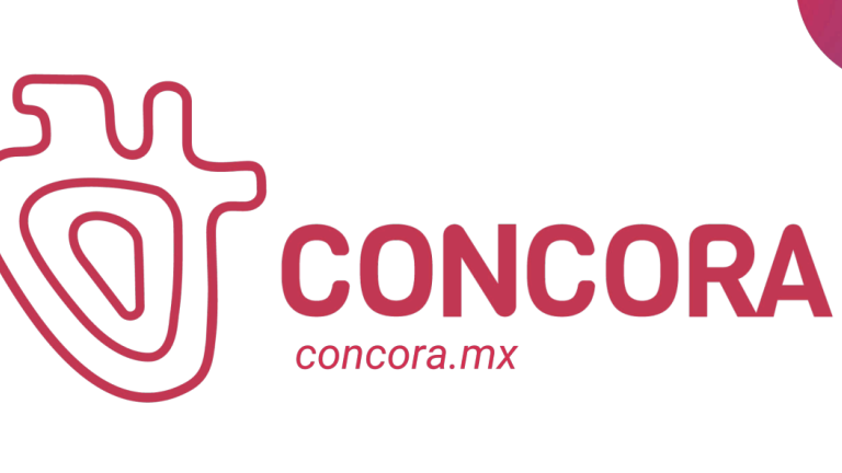 Concora Ife Accelerator 2025